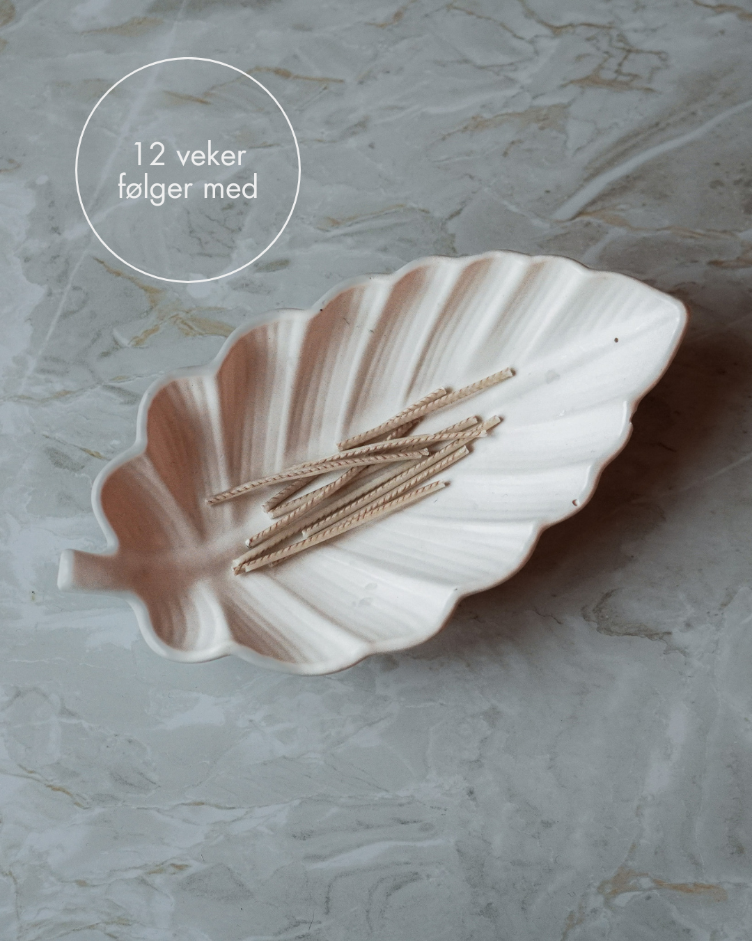 500g Vela Pearls + 12 veker